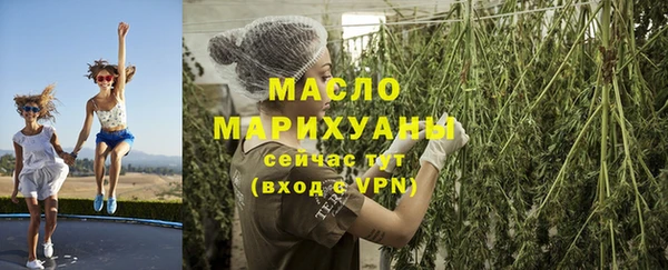МДПВ Дмитриев