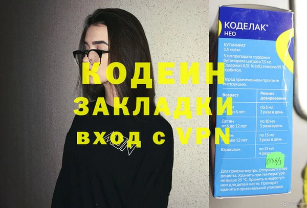 шишки Гусев