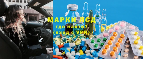 шишки Гусев