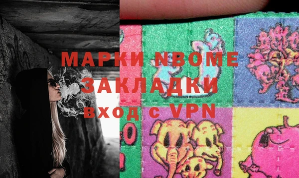 шишки Гусев