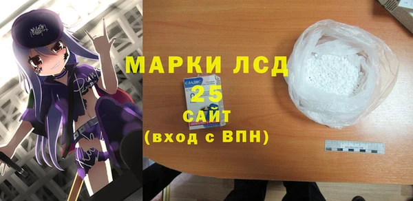 шишки Гусев