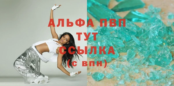 шишки Гусев