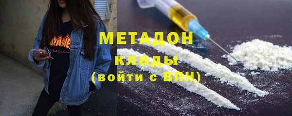 шишки Гусев