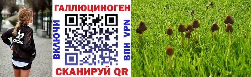 Псилоцибиновые грибы Psilocybe  наркота  Кимовск 