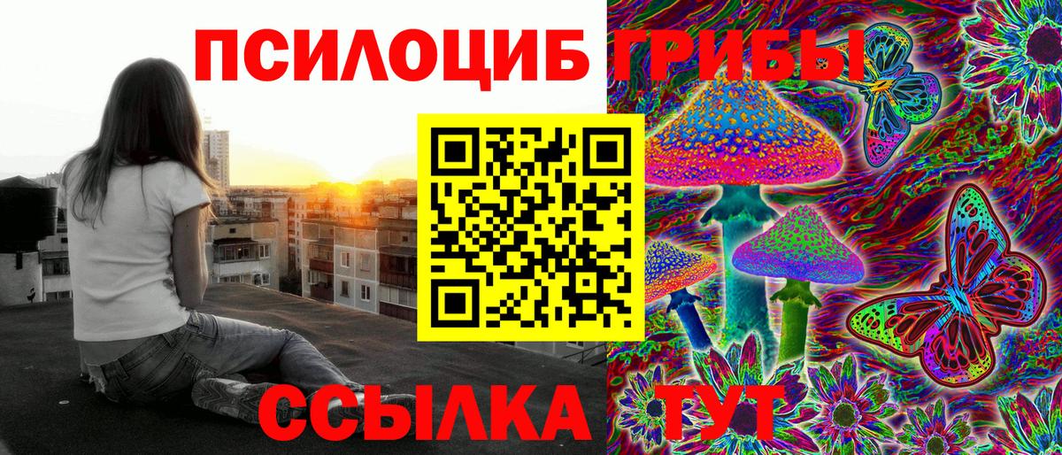 Псилоцибиновые грибы мухоморы Кимовск